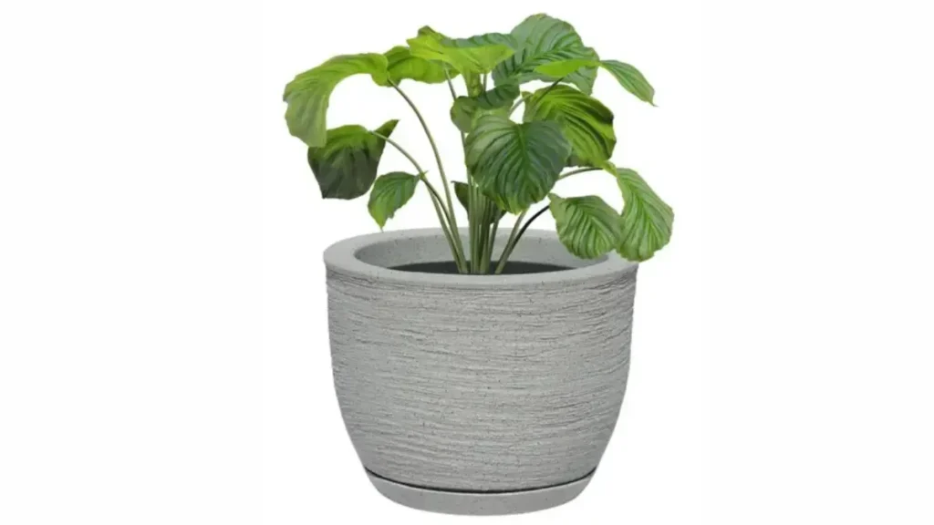 Vaso Decorativo de Polietileno Vale a Pena? Review Completo 2026 2 vaso para plantas