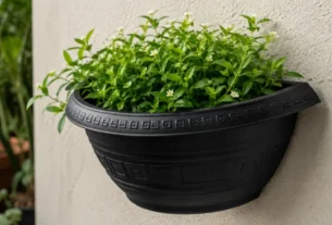 Vaso Meia Cuia Grande Jardim Horta Vertical 3,3L